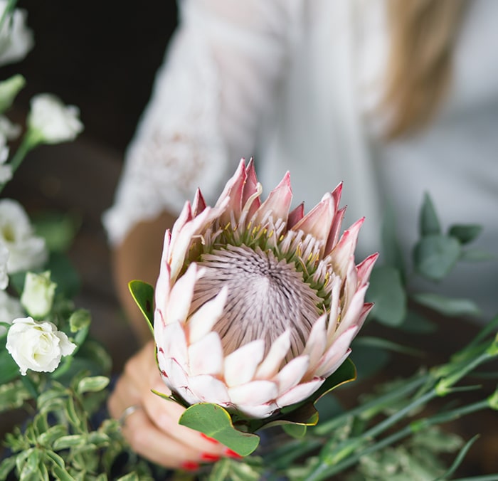 Banner giữa trang 2